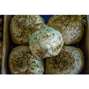 CELERI RAVE - 500 g - 3.50 €/kg - origine Bretagne -